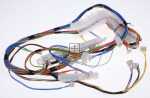 Harness - 12013554 Cable Harness [Bosch Siemens]