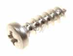 Screw - 20819387 Ice Rail Screw (35001721) [Vestel]