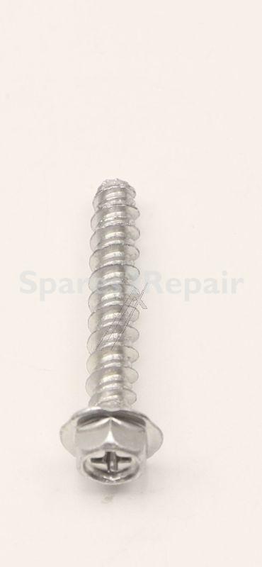 Spring - 1017504 Door Hook Spring [Amica]